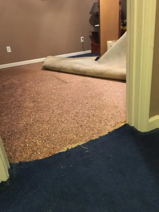 Carpet pad removal revealing water damage during Water Mitigation Services in Lochbuie