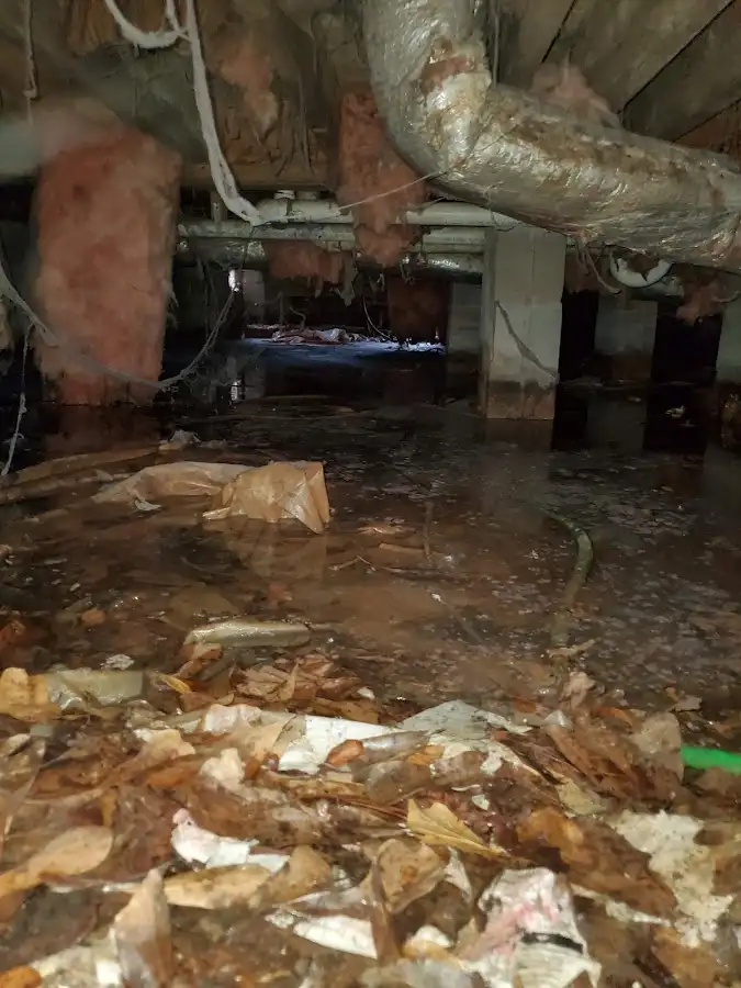 Crawl space flood assessment for Leak Detection & Repair in Lochbuie