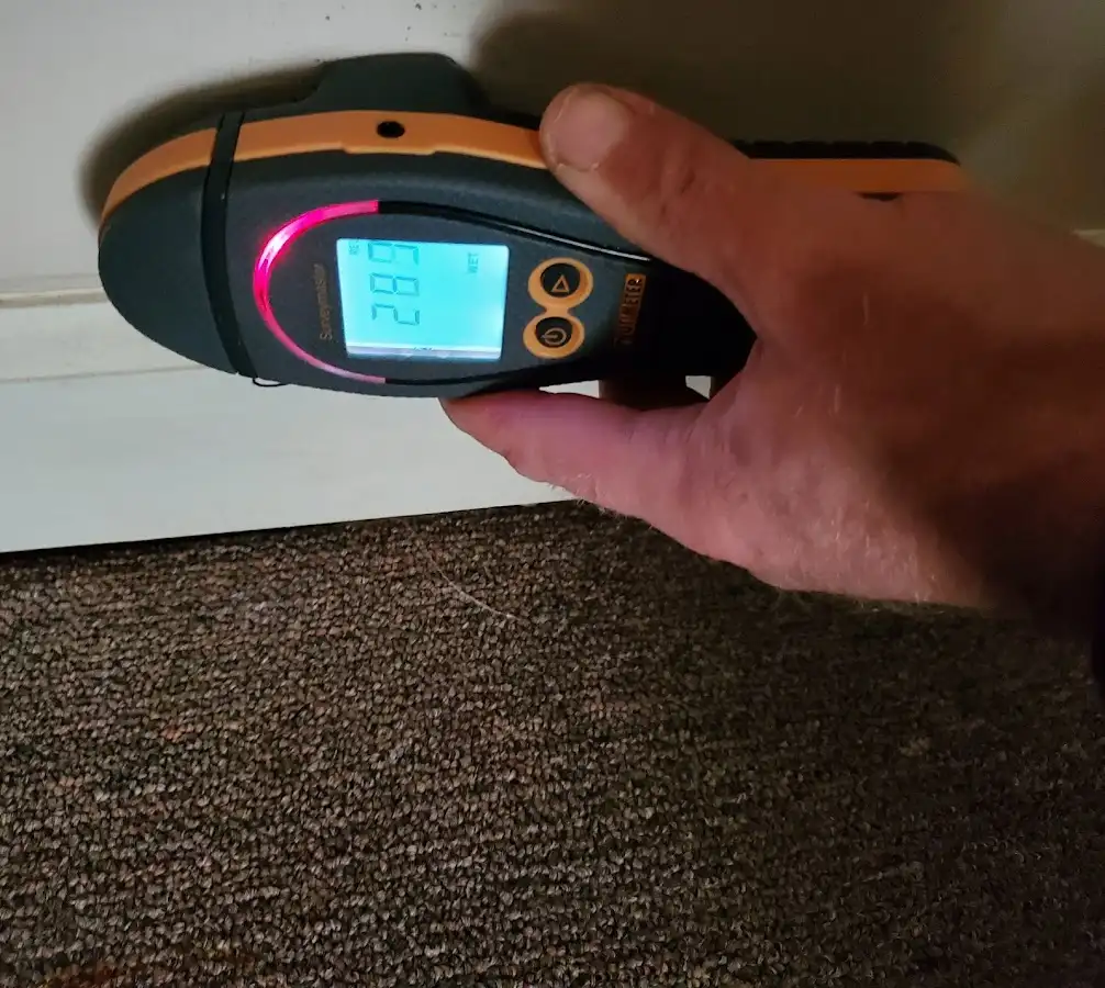 Moisture detection at baseboard during Burst Pipe Cleanup in Lochbuie